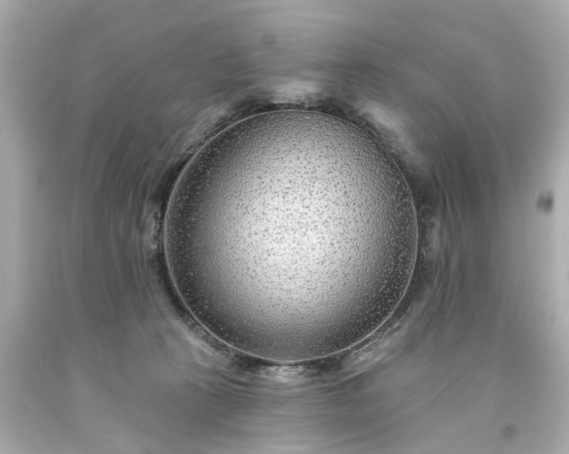 X0000094170273200711020948