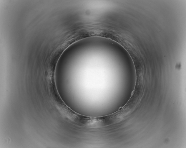 X0000094170274200711020948