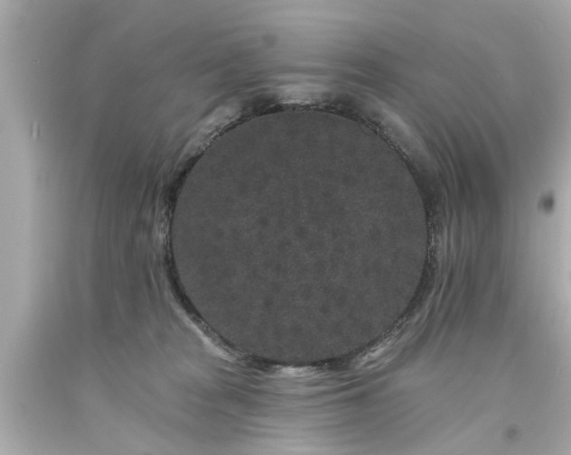 X0000094170277200711020948