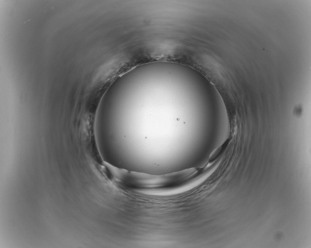 X0000094170280200711020948