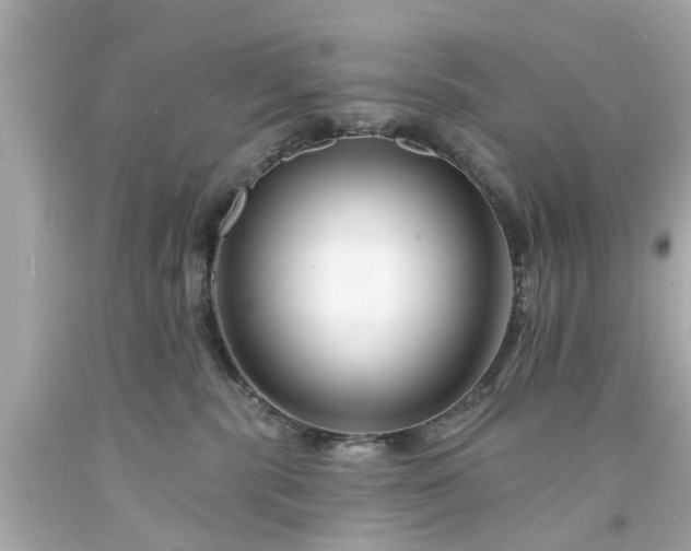 X0000094170283200711020948