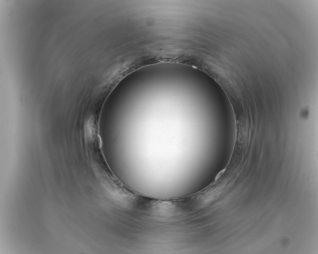 X0000094170287200711020948