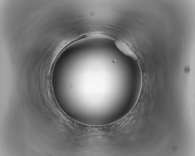 X0000094170289200711020947