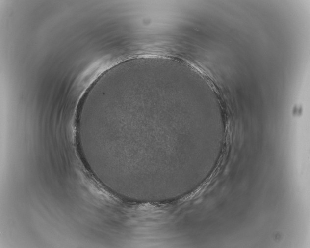 X0000094170290200711020947