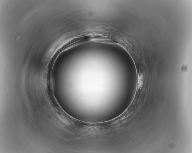 X0000094170291200711020947