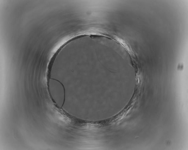 X0000094170292200711020947