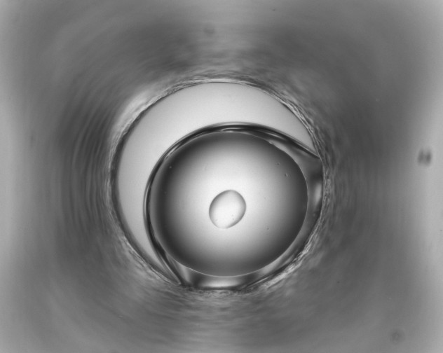 X0000094170293200711020947