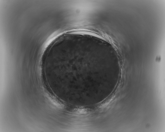 X0000094170295200711020947