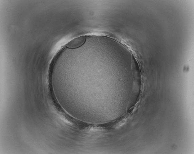 X0000094170296200711020947