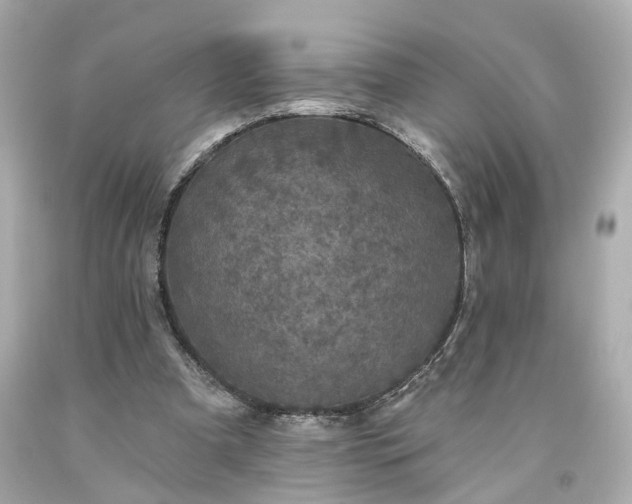 X0000094170297200711020947
