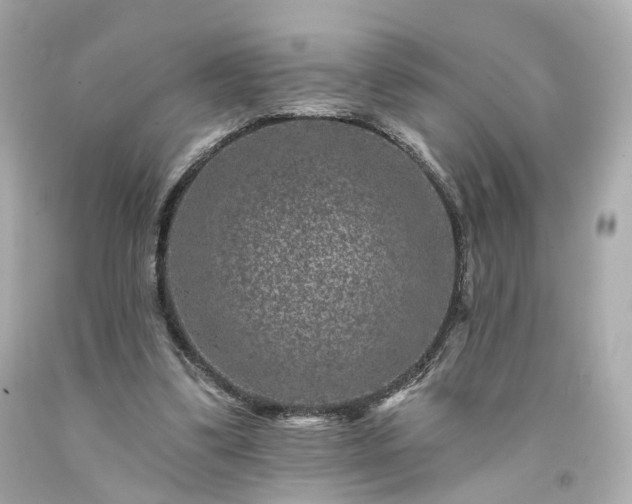 X0000094170299200711020947