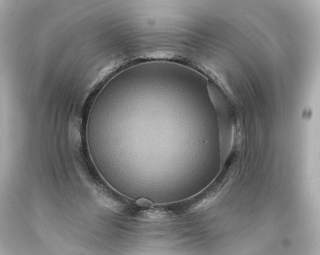 X0000094170300200711020947
