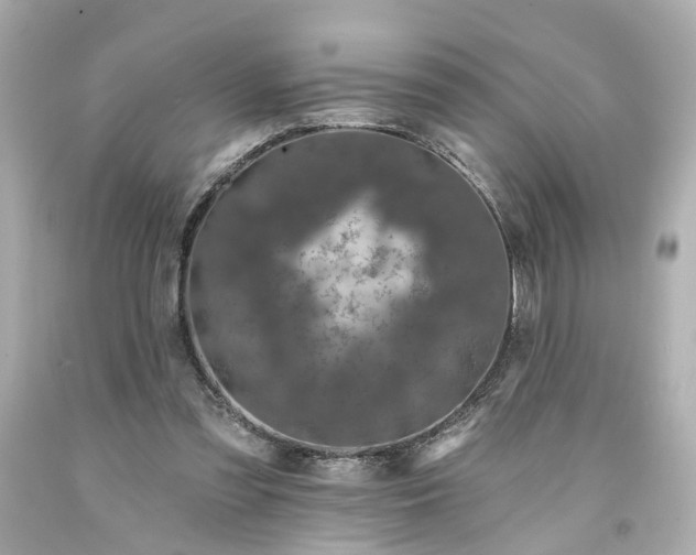 X0000094170301200711020947
