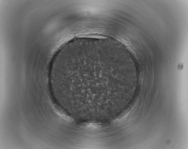 X0000094170303200711020947
