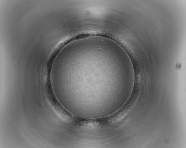 X0000094170304200711020947