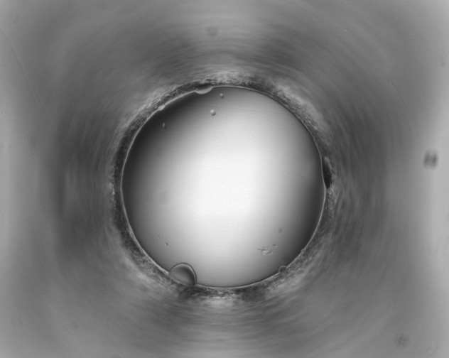 X0000094170306200711020947