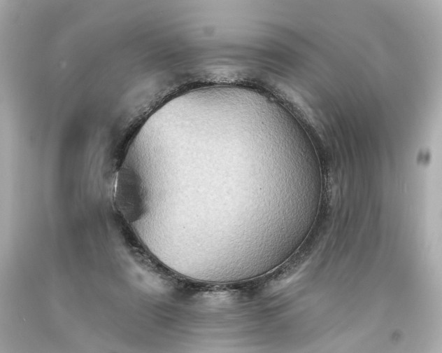 X0000094170307200711020947