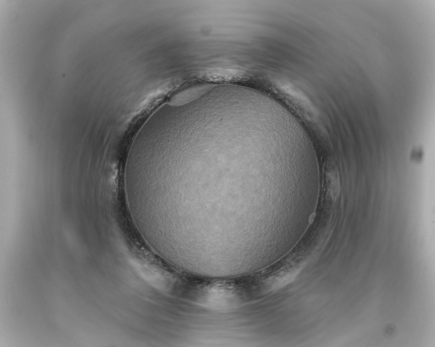 X0000094170308200711020947