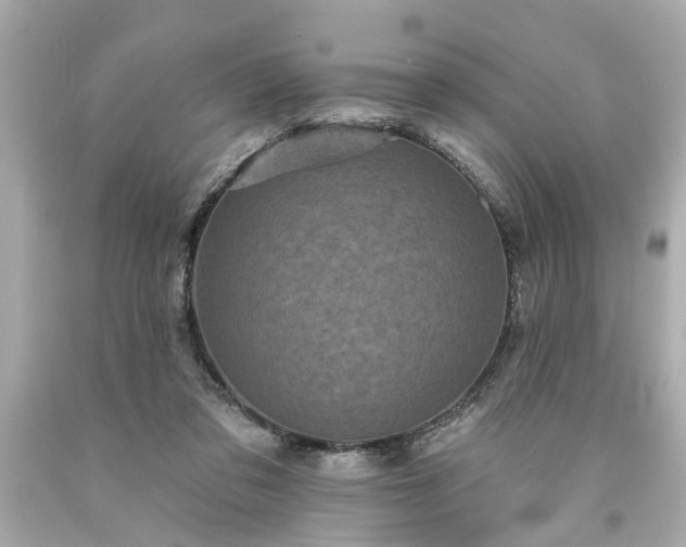 X0000094170309200711020947