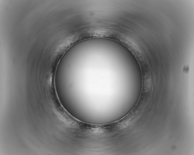 X0000094170310200711020947