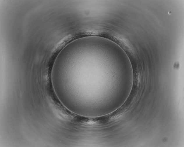 X0000094170312200711020947