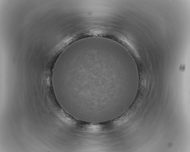 X0000094170313200711020947