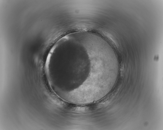 X0000094170314200711020947