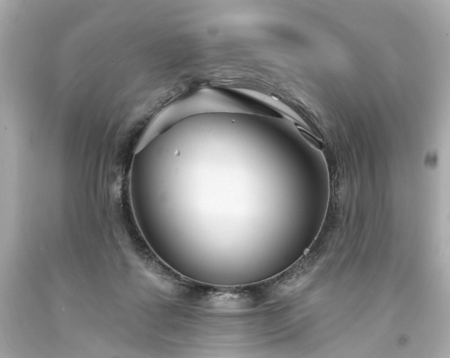 X0000094170315200711020947