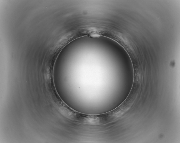 X0000094170317200711020947