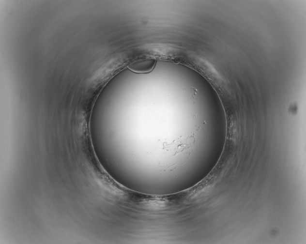 X0000094170318200711020947