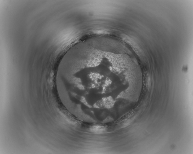 X0000094170319200711020947