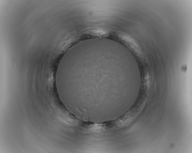 X0000094170320200711020947