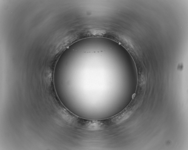 X0000094170321200711020947