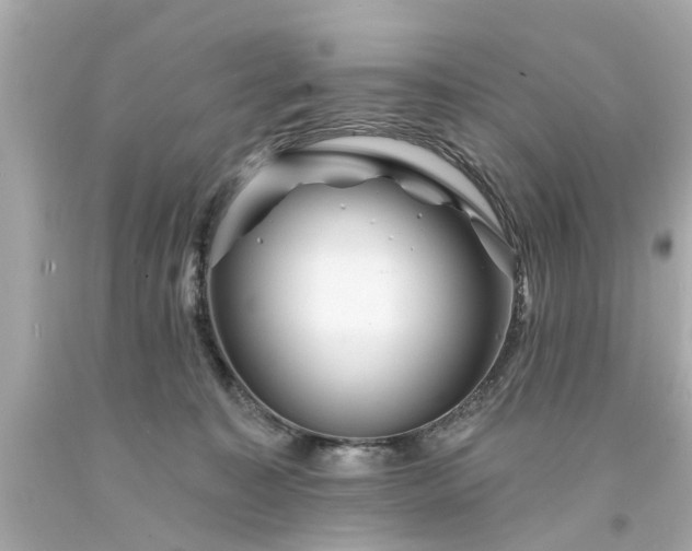 X0000094170323200711020947