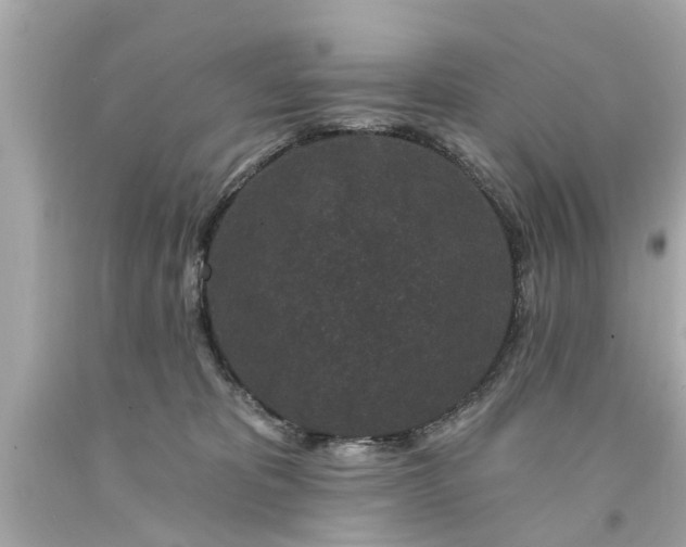 X0000094170325200711020947