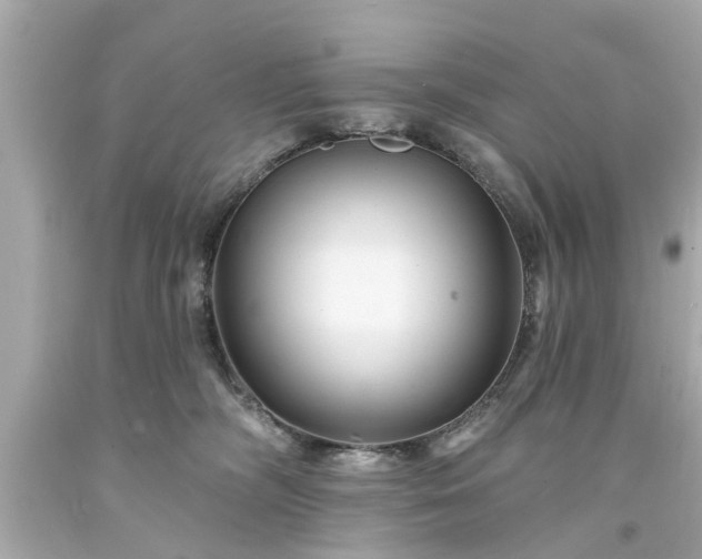 X0000094170326200711020947