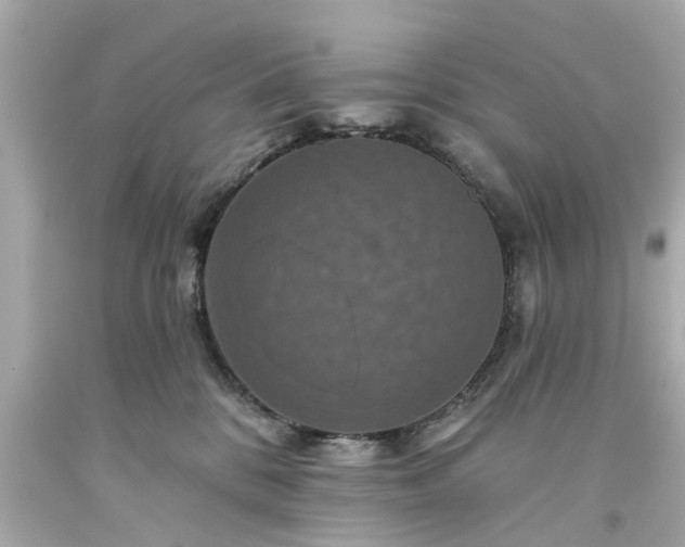 X0000094170328200711020947
