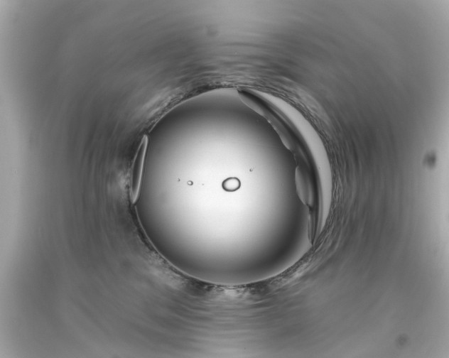 X0000094170329200711020947