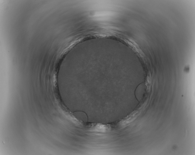X0000094170330200711020947