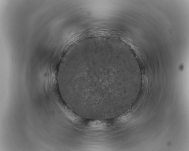 X0000094170331200711020947