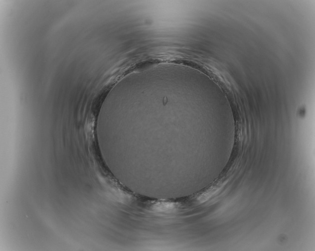 X0000094170332200711020947