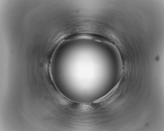 X0000094170333200711020947