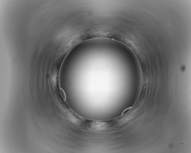 X0000094170334200711020947