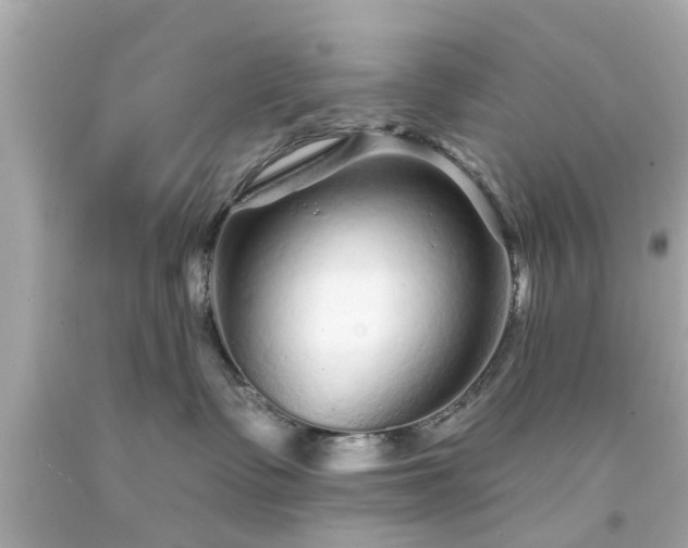 X0000094170335200711020947