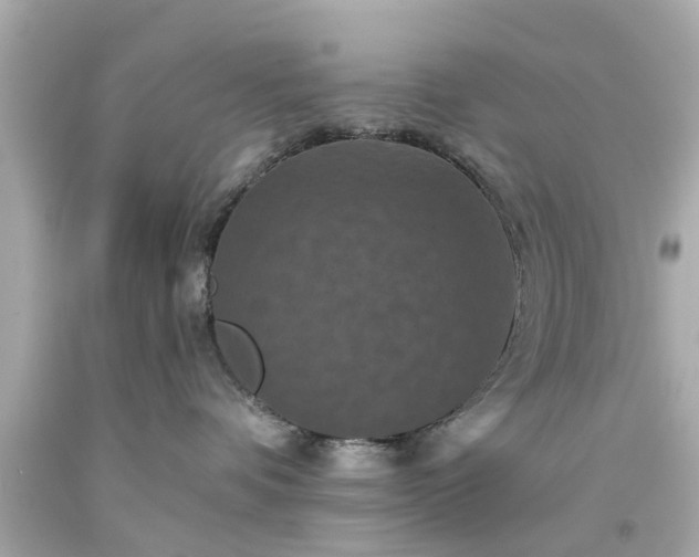 X0000094170336200711020947