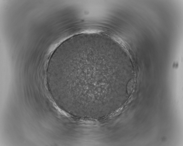 X0000094170337200711020946