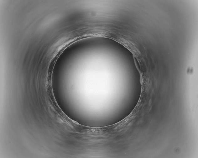 X0000094170338200711020946