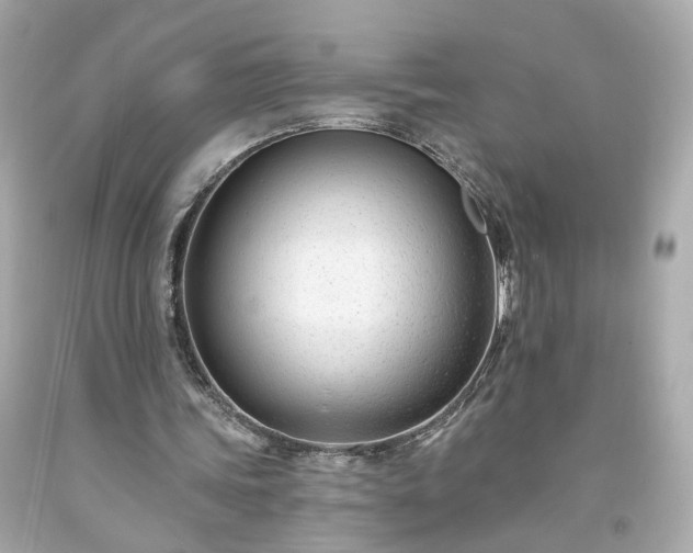 X0000094170339200711020946
