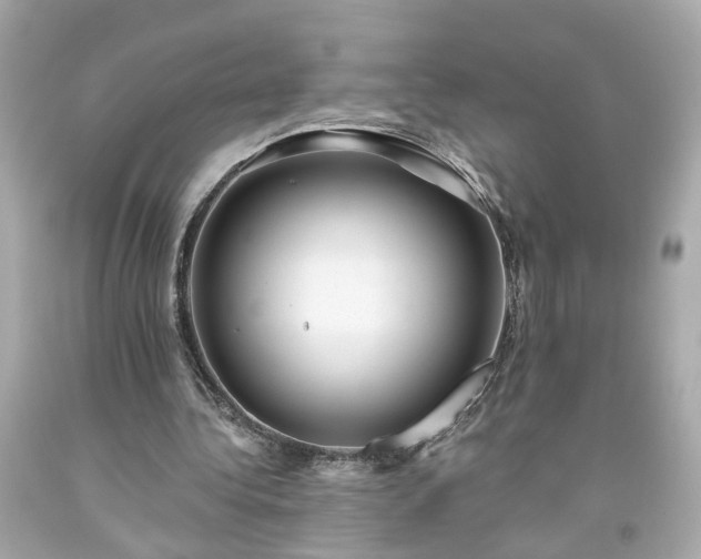 X0000094170340200711020946