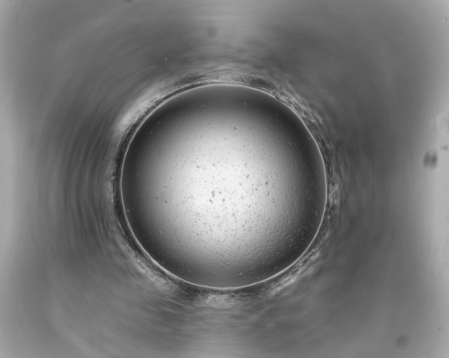 X0000094170341200711020946